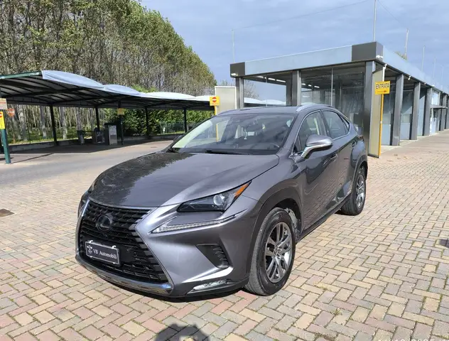 Lexus NX 300h