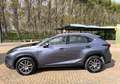 Lexus NX 300h Gris - thumbnail 11