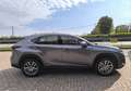 Lexus NX 300h Gris - thumbnail 8