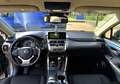 Lexus NX 300h Gris - thumbnail 18