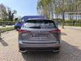 Lexus NX 300h Gris - thumbnail 10