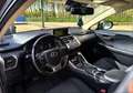 Lexus NX 300h Gris - thumbnail 13