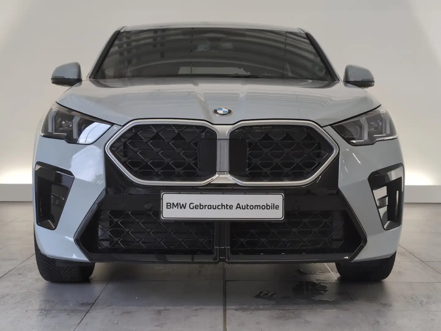 BMW X2 sDrive20i M Sportpaket LED/DAB/PDC LED/DAB/PDC Grau - 2