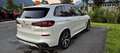 BMW X5 xDrive30d M-PAKET-PANORAMA Weiß - thumbnail 5