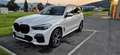 BMW X5 xDrive30d M-PAKET-PANORAMA Weiß - thumbnail 1