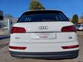 Audi Q5 2.0 TDI 190 CV quattro S tronic Business Cronologi Bianco - thumbnail 7