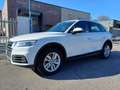 Audi Q5 2.0 TDI 190 CV quattro S tronic Business Cronologi Bianco - thumbnail 1