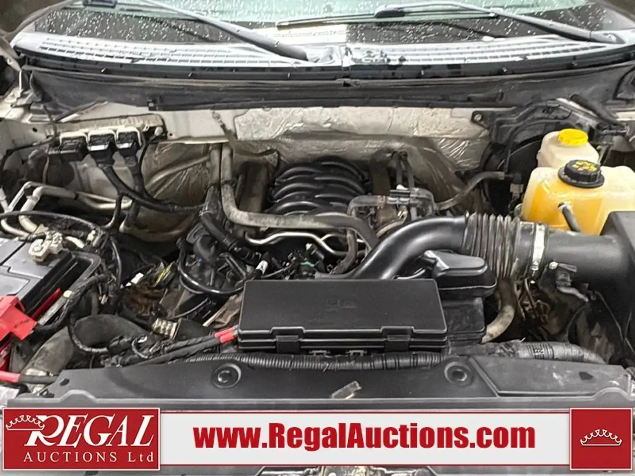 Ford F 150 photo Ford F 150