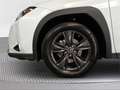 Lexus UX 250h Business City 2WD - thumbnail 16