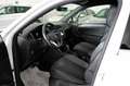 Volkswagen Tiguan 2.0 TDI 150CV SCR DSG R-Line AZIENDALE Bianco - thumbnail 5