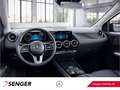 Mercedes-Benz B 250 Progressive LED Rückfahrkamera CarPlay Schwarz - thumbnail 7
