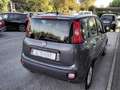 Fiat Panda 1.2 Lounge Grigio - thumbnail 6