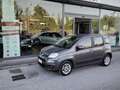 Fiat Panda 1.2 Lounge Grigio - thumbnail 1