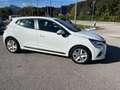 Renault Clio Clio 0.9 tce energy Business 90cv Bianco - thumbnail 4