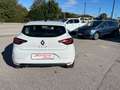 Renault Clio Clio 0.9 tce energy Business 90cv Bianco - thumbnail 6