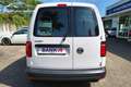Volkswagen Caddy 1.0 TSI Kasten Sthzg/Winter/PDC/Regal/Klima Blanc - thumbnail 8