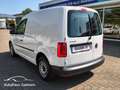 Volkswagen Caddy 1.0 TSI Kasten Sthzg/Winter/PDC/Regal/Klima Wit - thumbnail 7