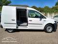 Volkswagen Caddy 1.0 TSI Kasten Sthzg/Winter/PDC/Regal/Klima Weiß - thumbnail 12