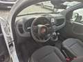 Fiat Panda PANDINA 1.0 firefly hybrid OK NEOPATENTATO Bianco - thumbnail 9