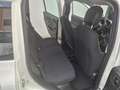Fiat Panda PANDINA 1.0 firefly hybrid OK NEOPATENTATO Bianco - thumbnail 12