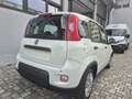 Fiat Panda PANDINA 1.0 firefly hybrid OK NEOPATENTATO Bianco - thumbnail 4