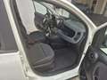 Fiat Panda PANDINA 1.0 firefly hybrid OK NEOPATENTATO Bianco - thumbnail 10