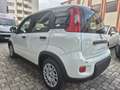 Fiat Panda PANDINA 1.0 firefly hybrid OK NEOPATENTATO Bianco - thumbnail 3