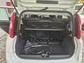 Fiat Panda PANDINA 1.0 firefly hybrid OK NEOPATENTATO Bianco - thumbnail 13