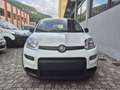 Fiat Panda PANDINA 1.0 firefly hybrid OK NEOPATENTATO Bianco - thumbnail 5
