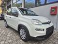 Fiat Panda PANDINA 1.0 firefly hybrid OK NEOPATENTATO Bianco - thumbnail 1