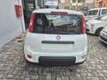 Fiat Panda PANDINA 1.0 firefly hybrid OK NEOPATENTATO Bianco - thumbnail 6