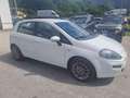 Fiat Punto 1.2 8V 5 porte Lounge Blanc - thumbnail 12