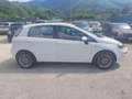 Fiat Punto 1.2 8V 5 porte Lounge Blanc - thumbnail 11