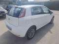 Fiat Punto 1.2 8V 5 porte Lounge Blanc - thumbnail 9