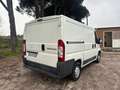 Fiat Ducato 33 2.3 OTTIMO STATO NESSUN LAVORO DA FARE Bianco - thumbnail 5