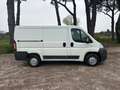 Fiat Ducato 33 2.3 OTTIMO STATO NESSUN LAVORO DA FARE Bianco - thumbnail 4