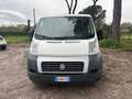 Fiat Ducato 33 2.3 OTTIMO STATO NESSUN LAVORO DA FARE Bianco - thumbnail 2