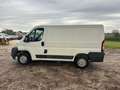 Fiat Ducato 33 2.3 OTTIMO STATO NESSUN LAVORO DA FARE Bianco - thumbnail 8