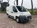 Fiat Ducato 33 2.3 OTTIMO STATO NESSUN LAVORO DA FARE Bianco - thumbnail 3