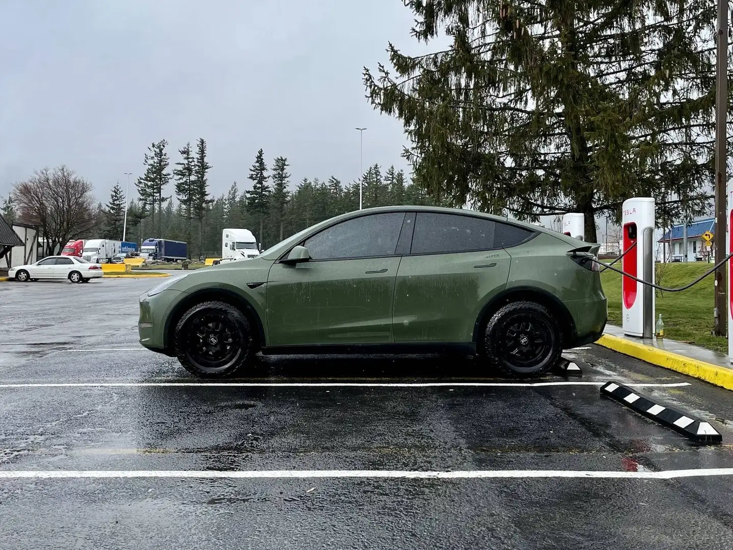 Tesla Model Y LONG RANGE DUAL MOTOR (AWD) Verde - 1