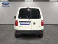 Volkswagen Caddy Bianco - thumbnail 4