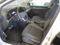 Volkswagen Golf VIII 2.0 TDI Active DSG NAVI AHK ACC RearVi Weiß - thumbnail 11