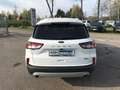 Ford Kuga Titanium X PHEV+iACC+LED+BLIS+B&O+KeyFree+ Weiß - thumbnail 5