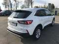 Ford Kuga Titanium X PHEV+iACC+LED+BLIS+B&O+KeyFree+ Weiß - thumbnail 6