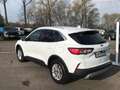 Ford Kuga Titanium X PHEV+iACC+LED+BLIS+B&O+KeyFree+ Weiß - thumbnail 4
