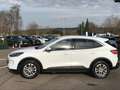 Ford Kuga Titanium X PHEV+iACC+LED+BLIS+B&O+KeyFree+ Weiß - thumbnail 3