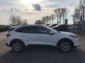 Ford Kuga Titanium X PHEV+iACC+LED+BLIS+B&O+KeyFree+ Weiß - thumbnail 7