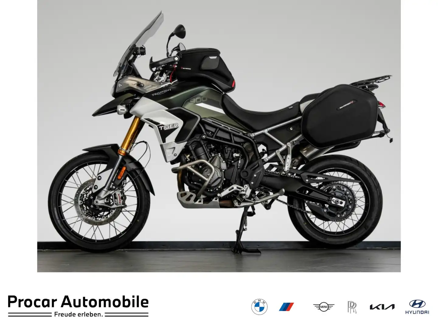 Triumph Tiger 900 Rally Pro Vert - 1