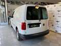 Volkswagen Caddy 2.0 TDI 102 CV DSG Furgone Business Bianco - thumbnail 6