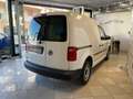 Volkswagen Caddy 2.0 TDI 102 CV DSG Furgone Business Bianco - thumbnail 4
